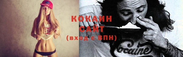 кокс Арсеньев