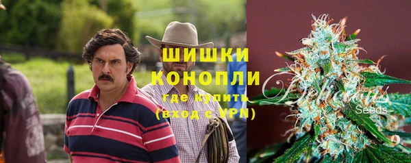 кокс Арсеньев